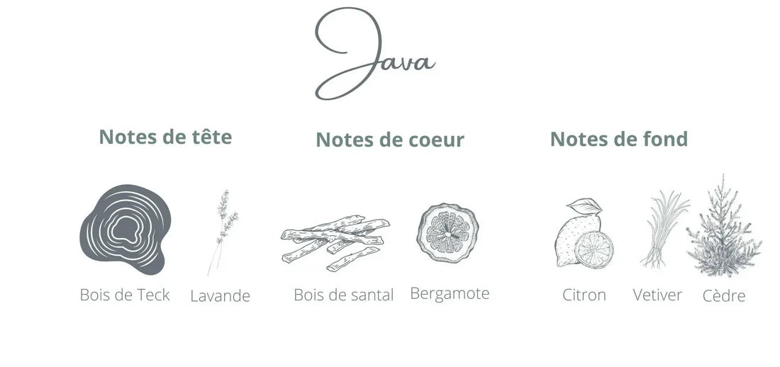 cotoncorail-bougie-chandelle-ciresoya-java-boisteck-citron