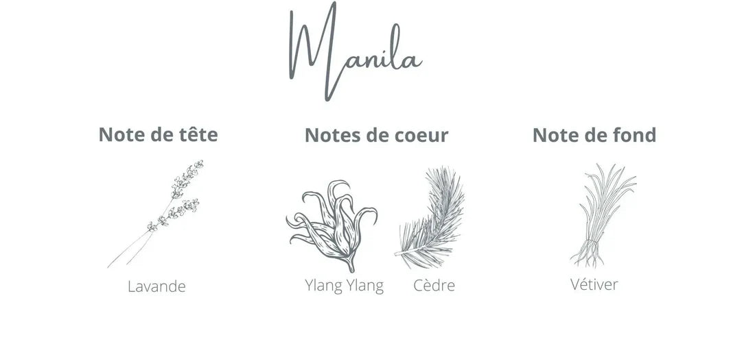 cotoncorail-bougie-chandelle-ciresoya-manila-lavande-ylangylang