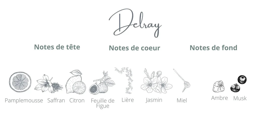 Bougie DELRAY - Pomelo et Miel