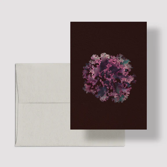 raoul&simone-illustration-photographie-papeterie-cartedesouhaits-cartedevoeux-moussedirlande-lableue