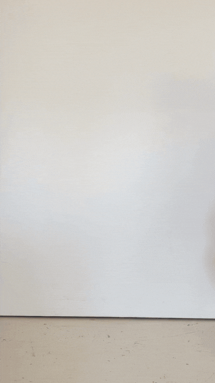 VERONIQUE Top - Botanica