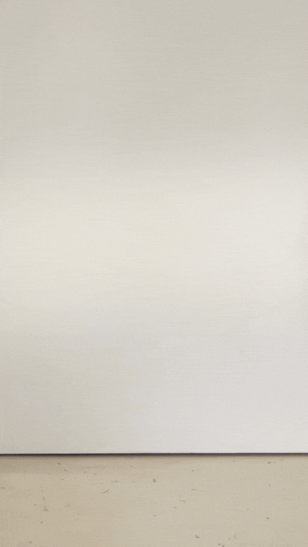 Combishort CAMASSIA - Chicorée