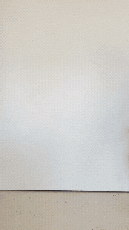 Haut SKIMMIA - Pistache