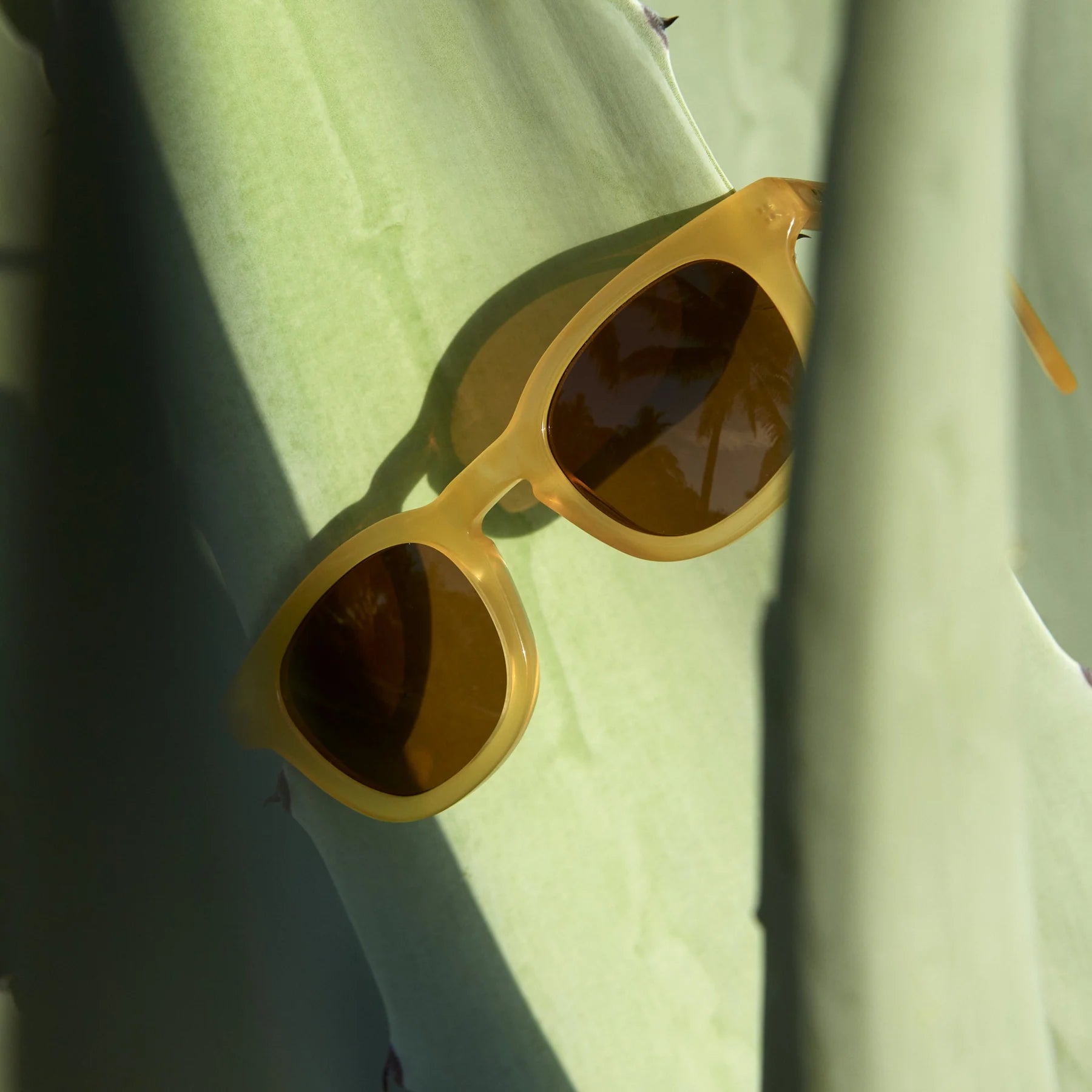 Lunettes de soleil FRENCH KIWIS - CLAUDE