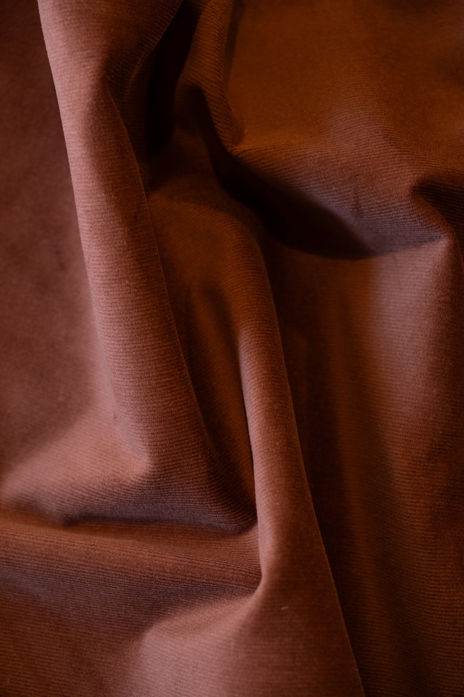 cokluch-tissus-velourscotele-corduroy-coton-muscade