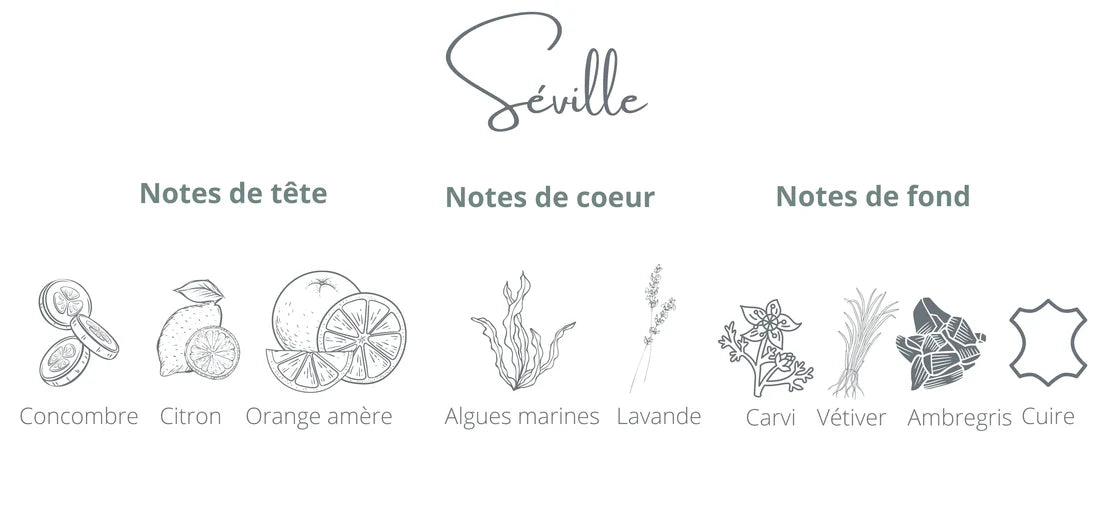 cotoncorail-bougie-chandelle-ciresoya-seville-orange-concombre