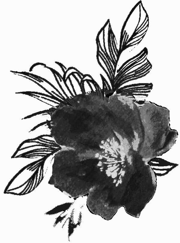 fleurs-serigraphie-cokluchmini-ah1718